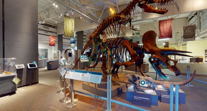 Florida Museum of Natural History-Exhibits, Florida, USA